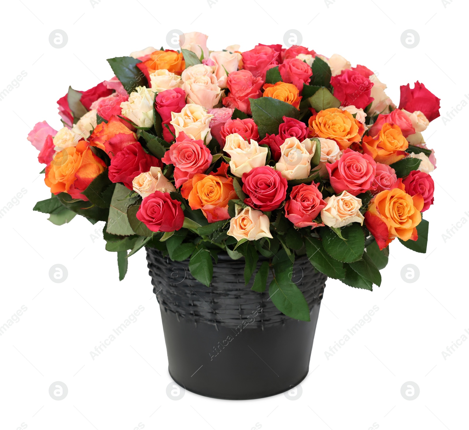 Photo of Bouquet of beautiful roses isolated on white