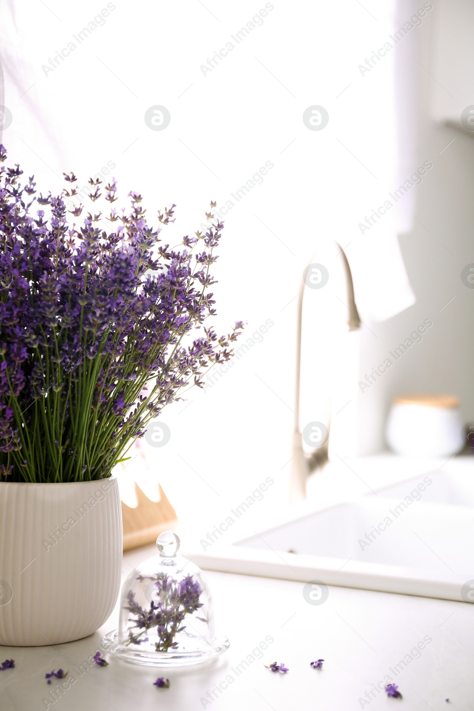 Photo of Beautiful lavender flowers on countertop in kitchen. Space for text