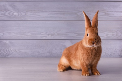 Photo of Cute bunny on grey table against wooden background, space for text. Easter symbol