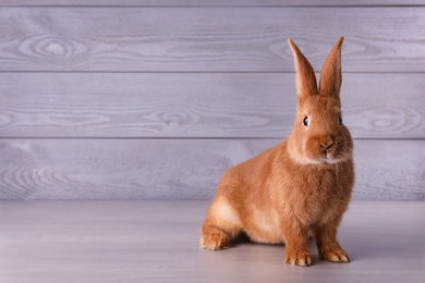 Cute bunny on grey table against wooden background, space for text. Easter symbol