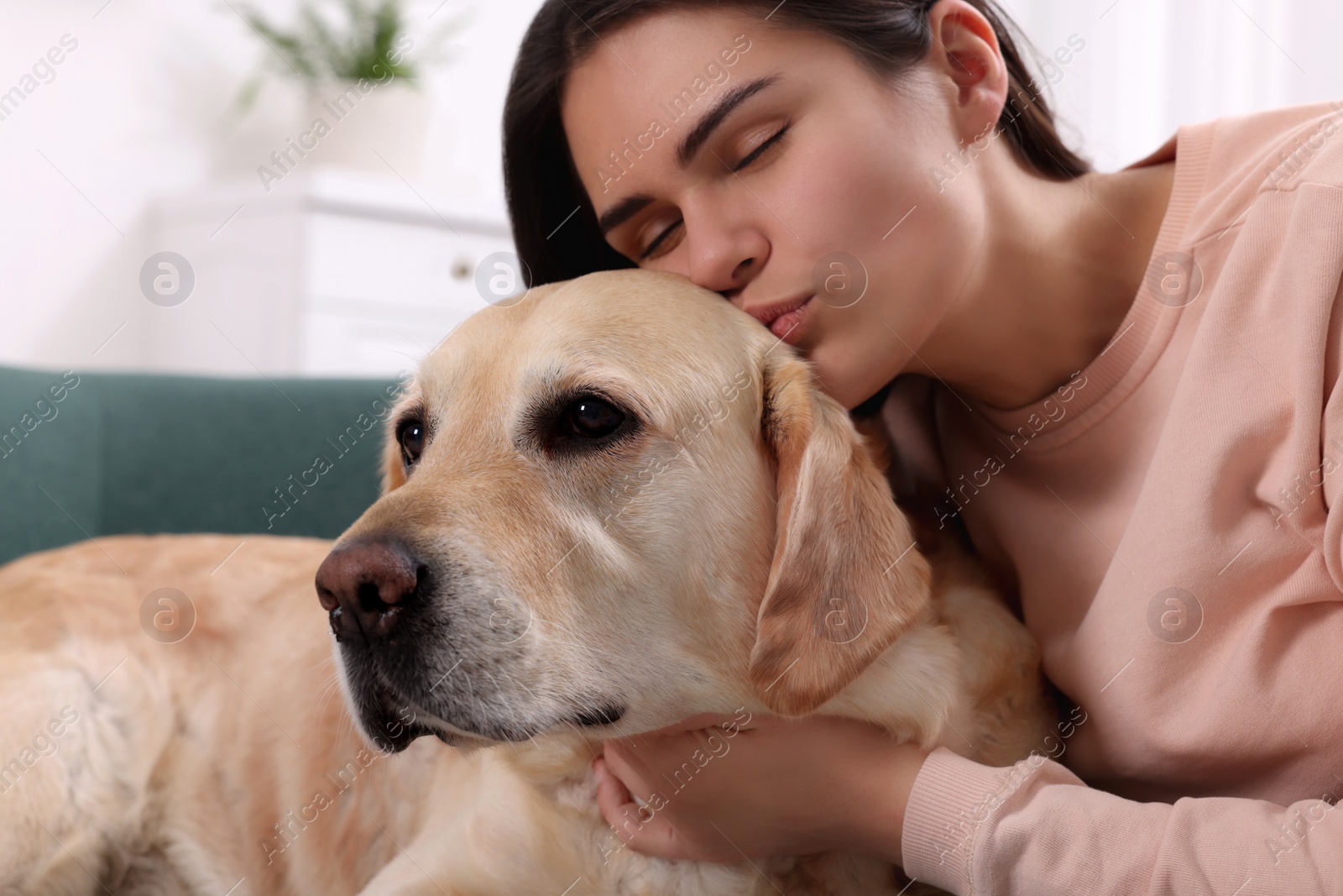 Photo of Happy woman kissing cute Labrador Retriever on sofa at home