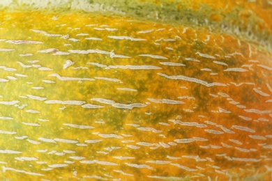 Photo of Texture of fresh ripe melon peel, closeup view