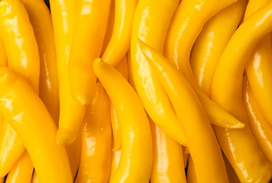 Photo of Ripe hot chili peppers as background, closeup