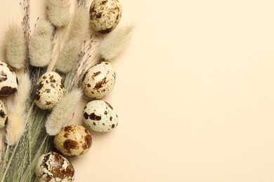 Photo of Speckled quail eggs and dry flowers on beige background, flat lay. Space for text