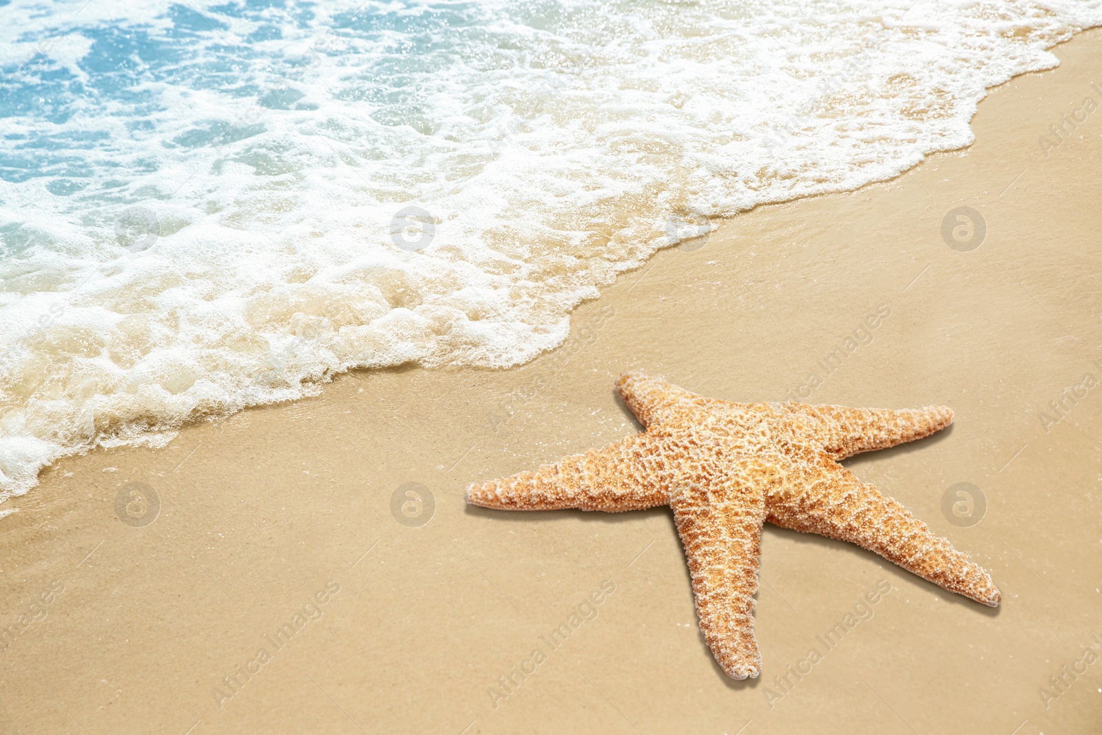 Image of Beautiful waves and sea star on sandy beach