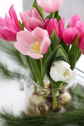 Photo of Beautiful tulips with bulbs and pine branches on window sill indoors, closeup
