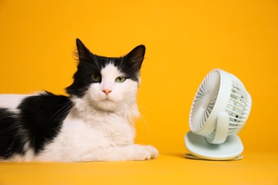 Cute fluffy cat enjoying air flow from fan on yellow background. Summer heat