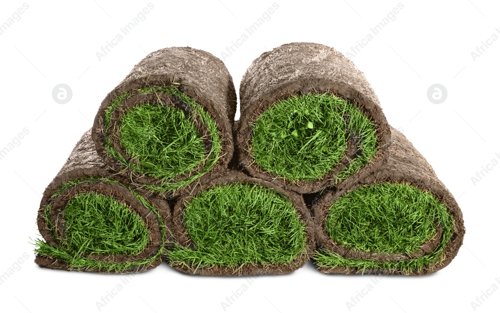 Photo of Rolls of grass sod on white background