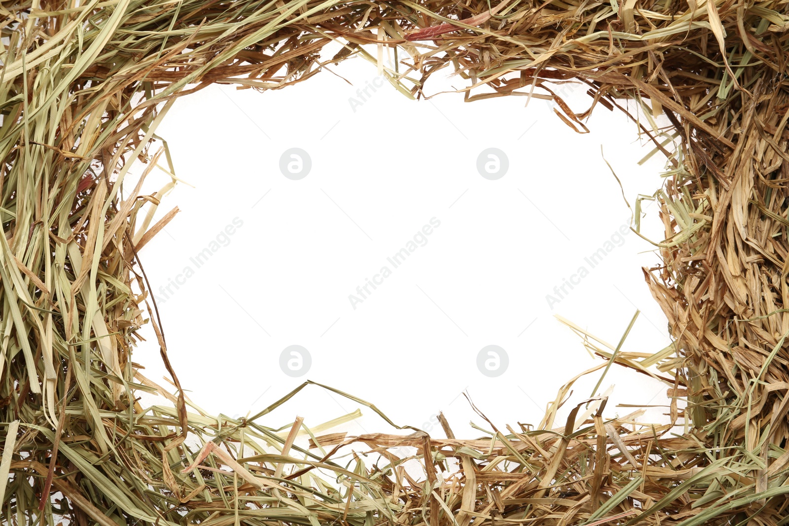 Photo of Frame made of dried hay on white background, top view. Space for text