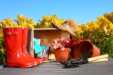 Gardening tools and lilies on grey table in flower field