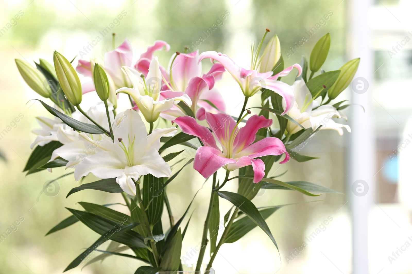 Photo of Bouquet of beautiful lilies on blurred background