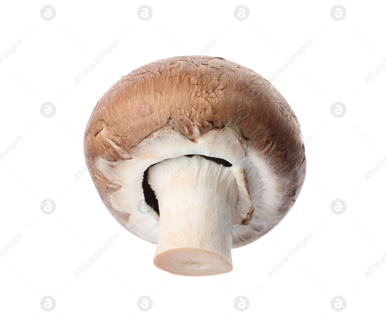 Photo of Fresh champignon mushroom isolated on white. Healthy food