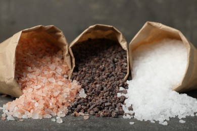 Photo of Paper bags with different kinds of salt on grey table, closeup