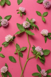 Beautiful clover flowers on pink background, flat lay