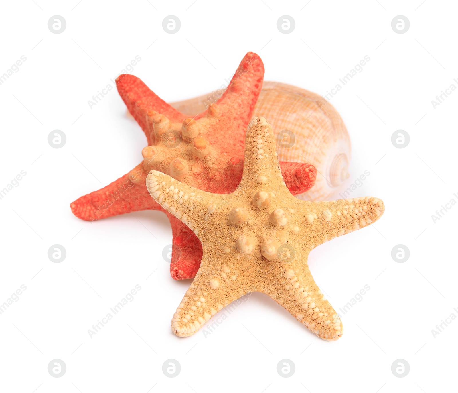 Photo of Beautiful sea stars and stone isolated on white