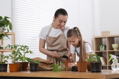 Mother and daughter planting seedlings in pot together at wooden table in room