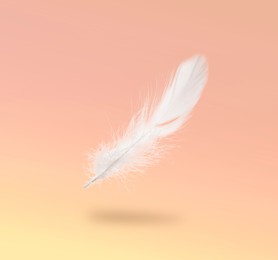 Image of Fluffy bird feather falling on color background