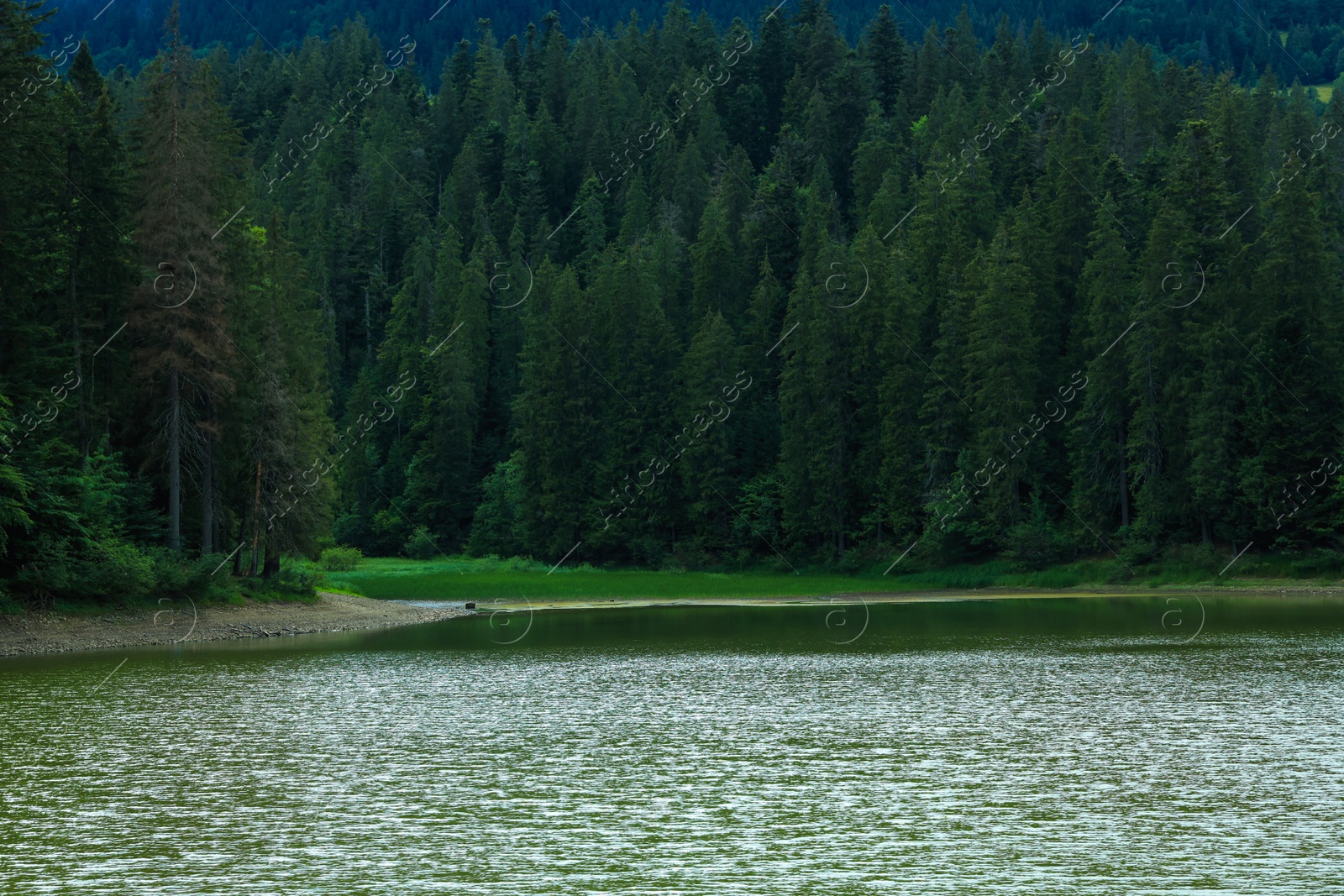 Photo of Picturesque view of clear lake near forest