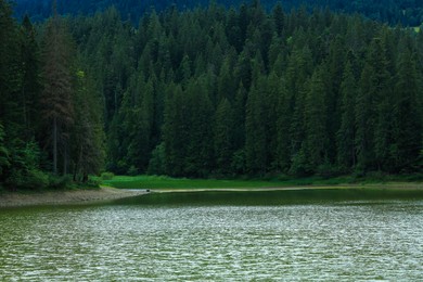 Photo of Picturesque view of clear lake near forest