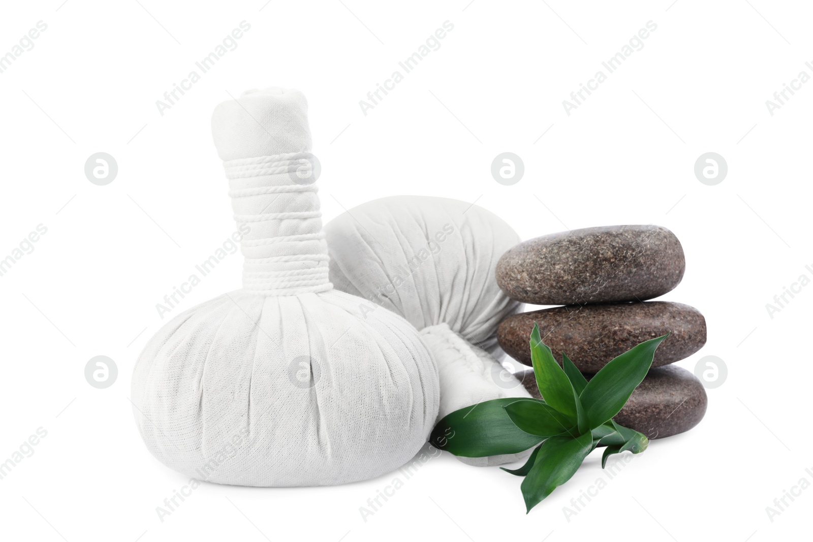 Photo of Herbal massage bags, green plant and spa stones on white background