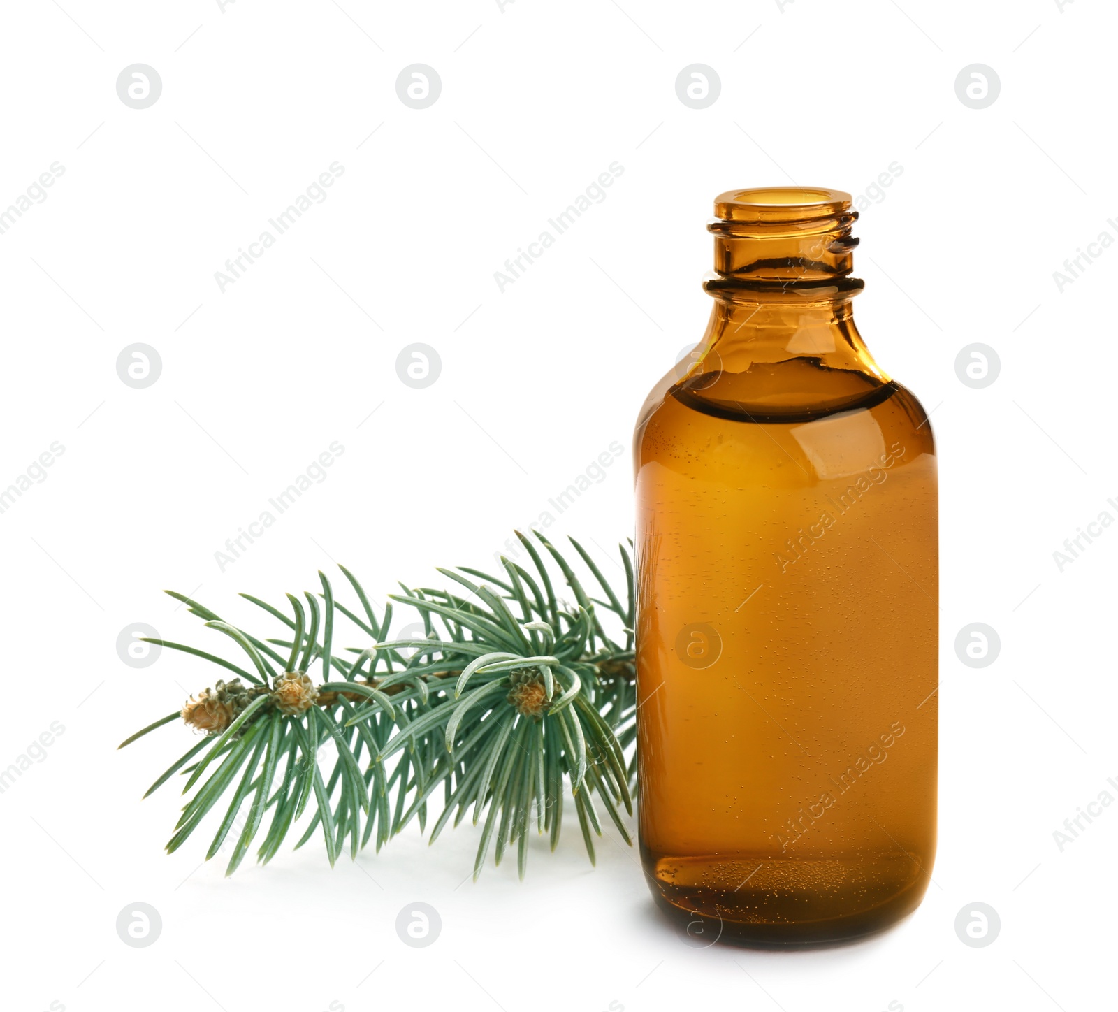 Photo of Little open bottle with essential oil and pine branch on white background