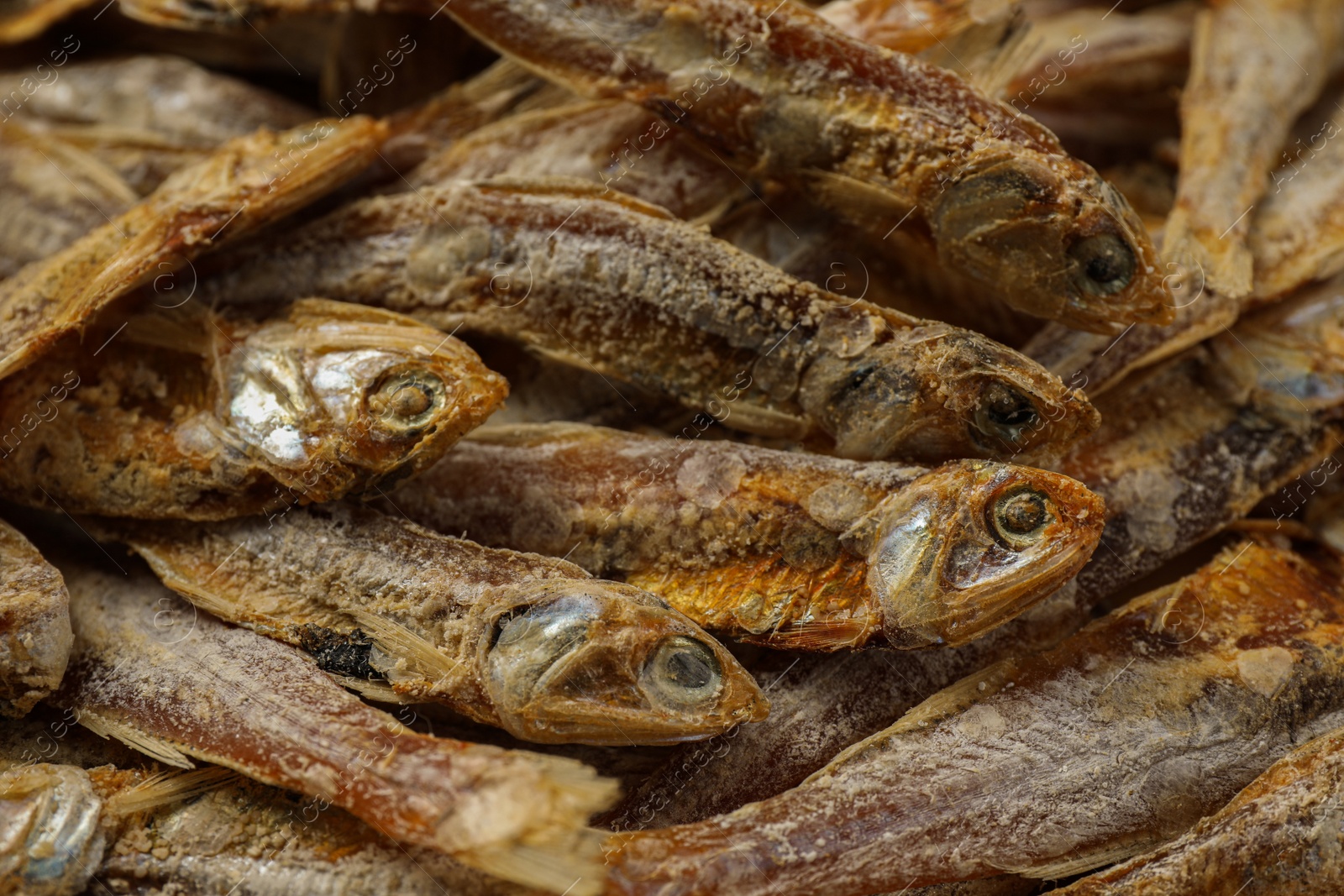 Photo of Many tasty dried anchovies as background, closeup