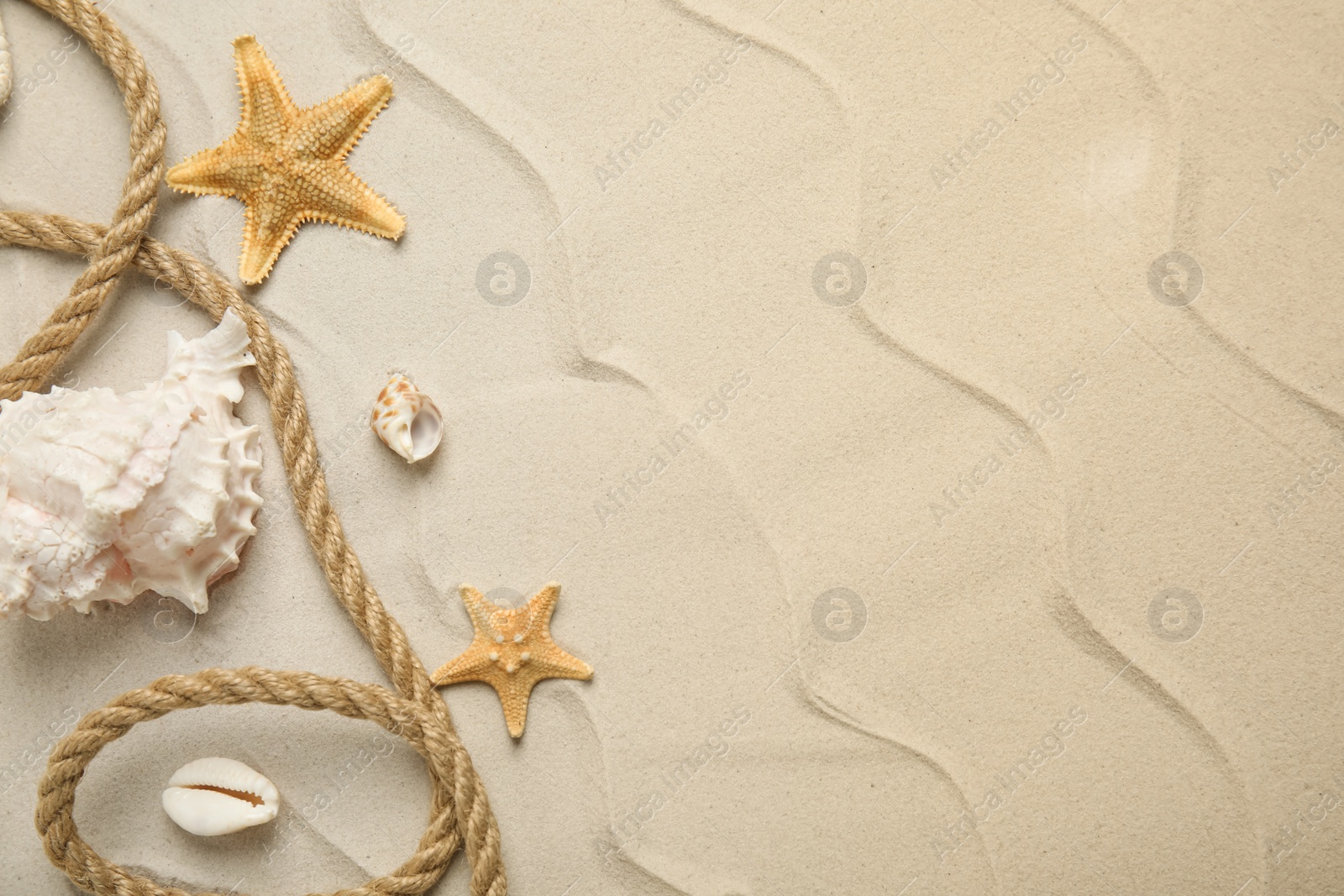 Photo of Beautiful sea stars, shells and rope on sand, flat lay. Space for text