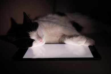 Photo of Cute cat sleeping on tablet at home
