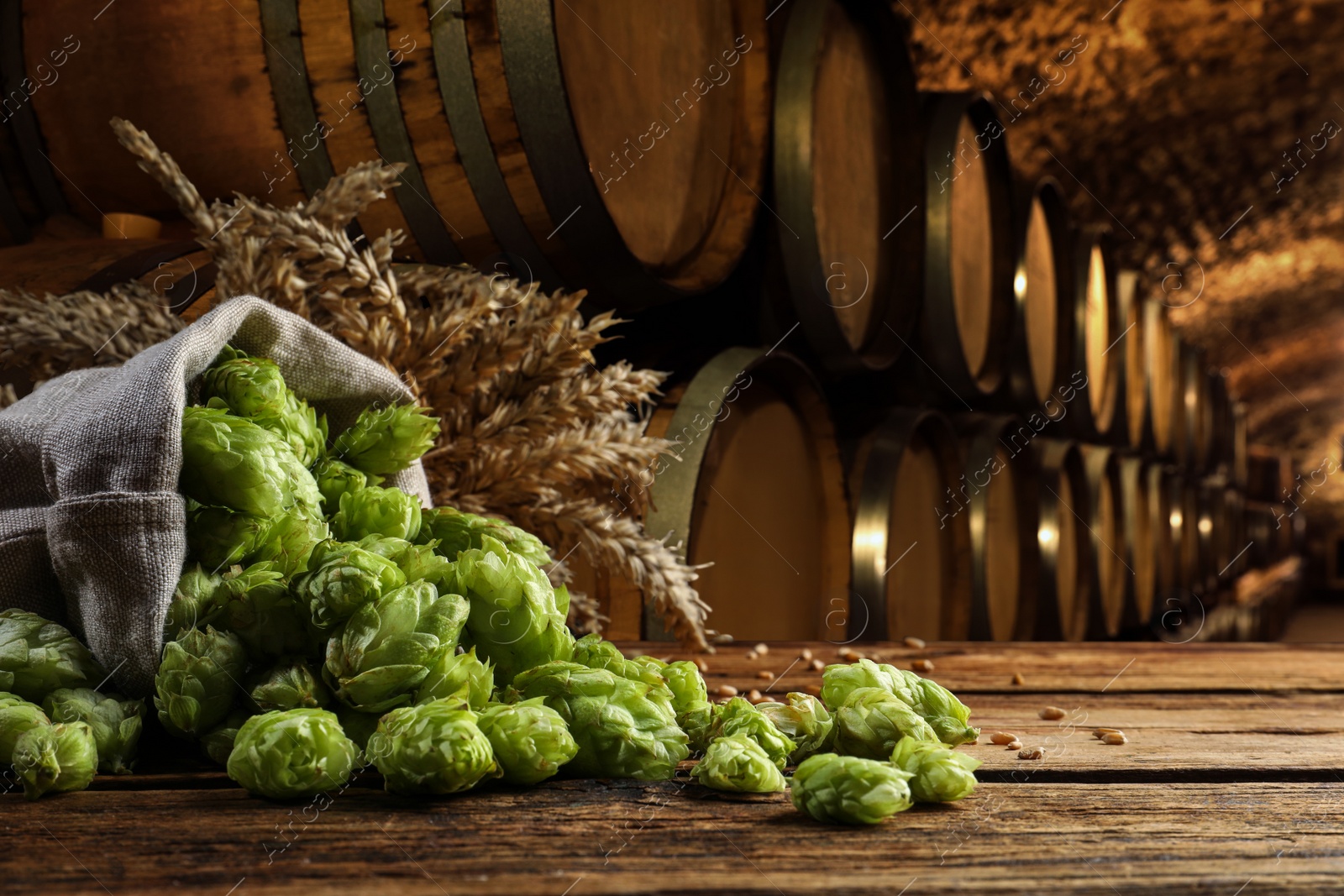 Image of Fresh hops and wheat spikes on wooden table in beer cellar