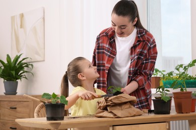 Mother and daughter planting seedling into pot together at wooden table in room