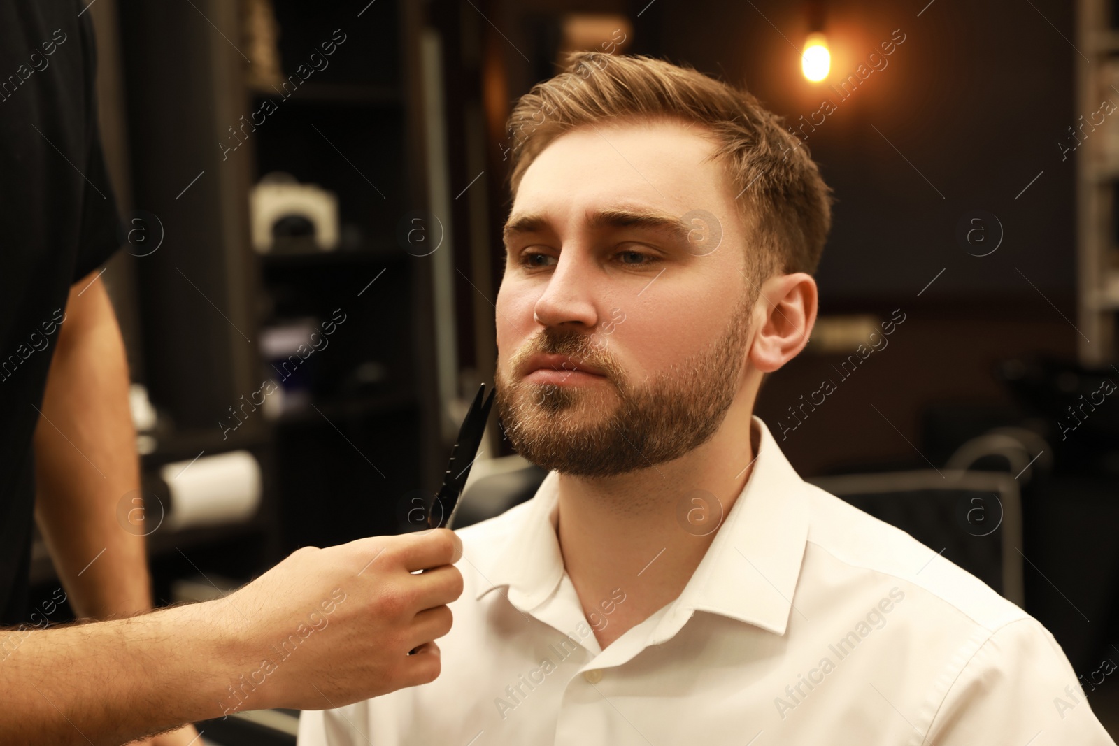 Photo of Professional hairdresser working with client in barbershop