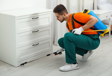 Photo of Pest control worker spraying insecticide near chest of drawers indoors
