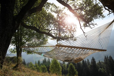 Comfortable net hammock outdoors on sunny day