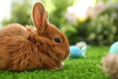 Photo of Adorable fluffy bunny and Easter eggs on green grass, closeup