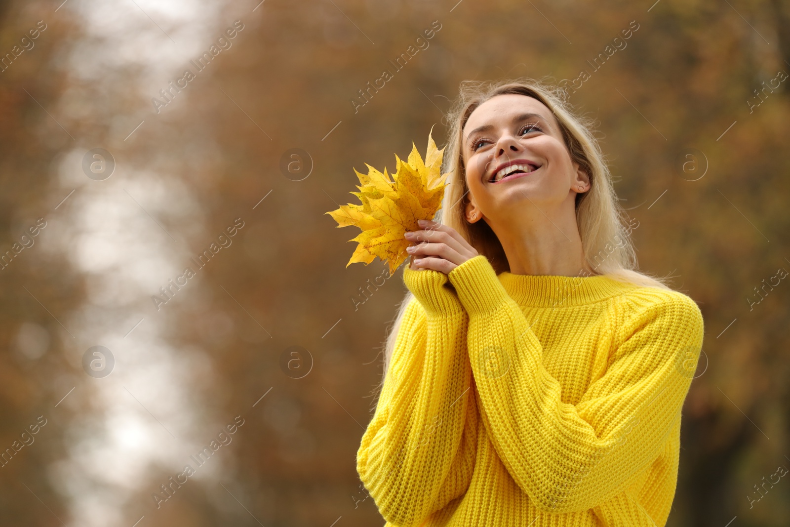 Photo of Portrait of happy woman with autumn leaves outdoors. Space for text