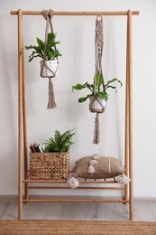 Photo of Beautiful ferns, basket and pillow on wooden rack indoors