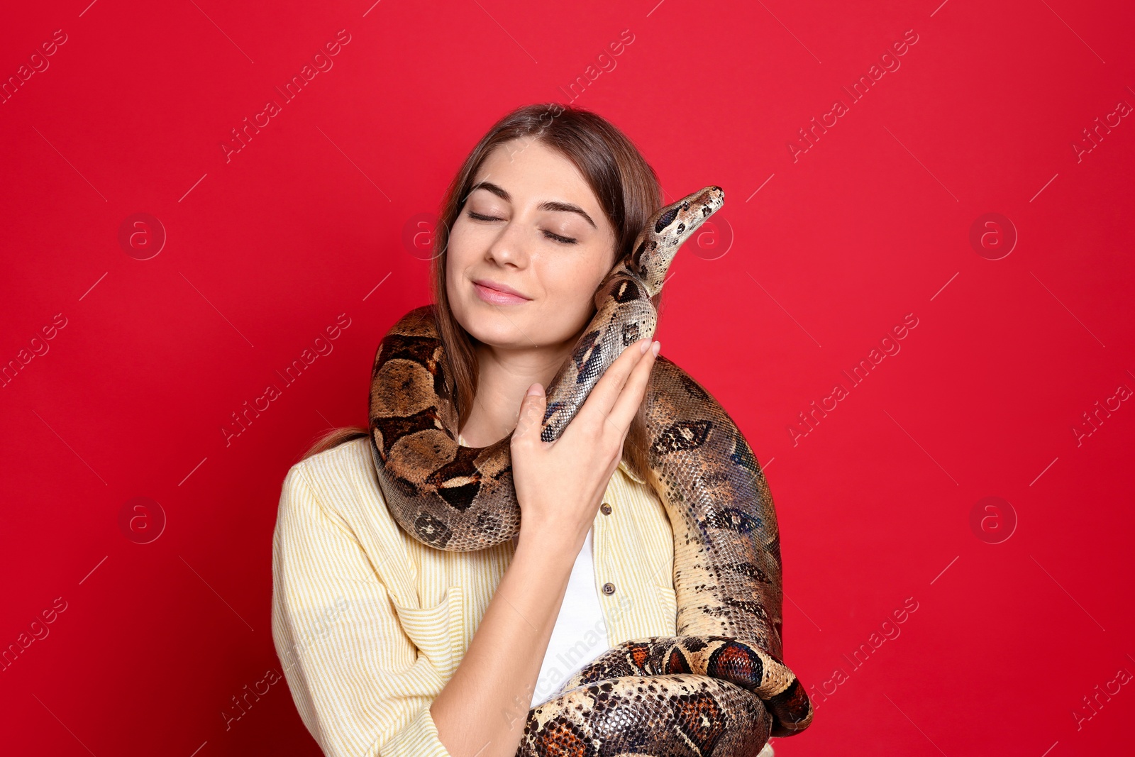 Photo of Young woman with boa constrictor on red background. Exotic pet