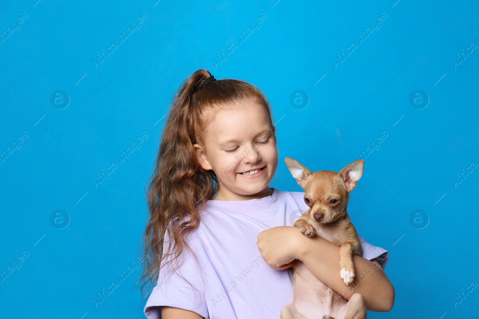 Photo of Little girl with her Chihuahua dog on light blue background. Childhood pet