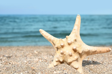 Photo of Beautiful starfish on sand near sea. Beach object