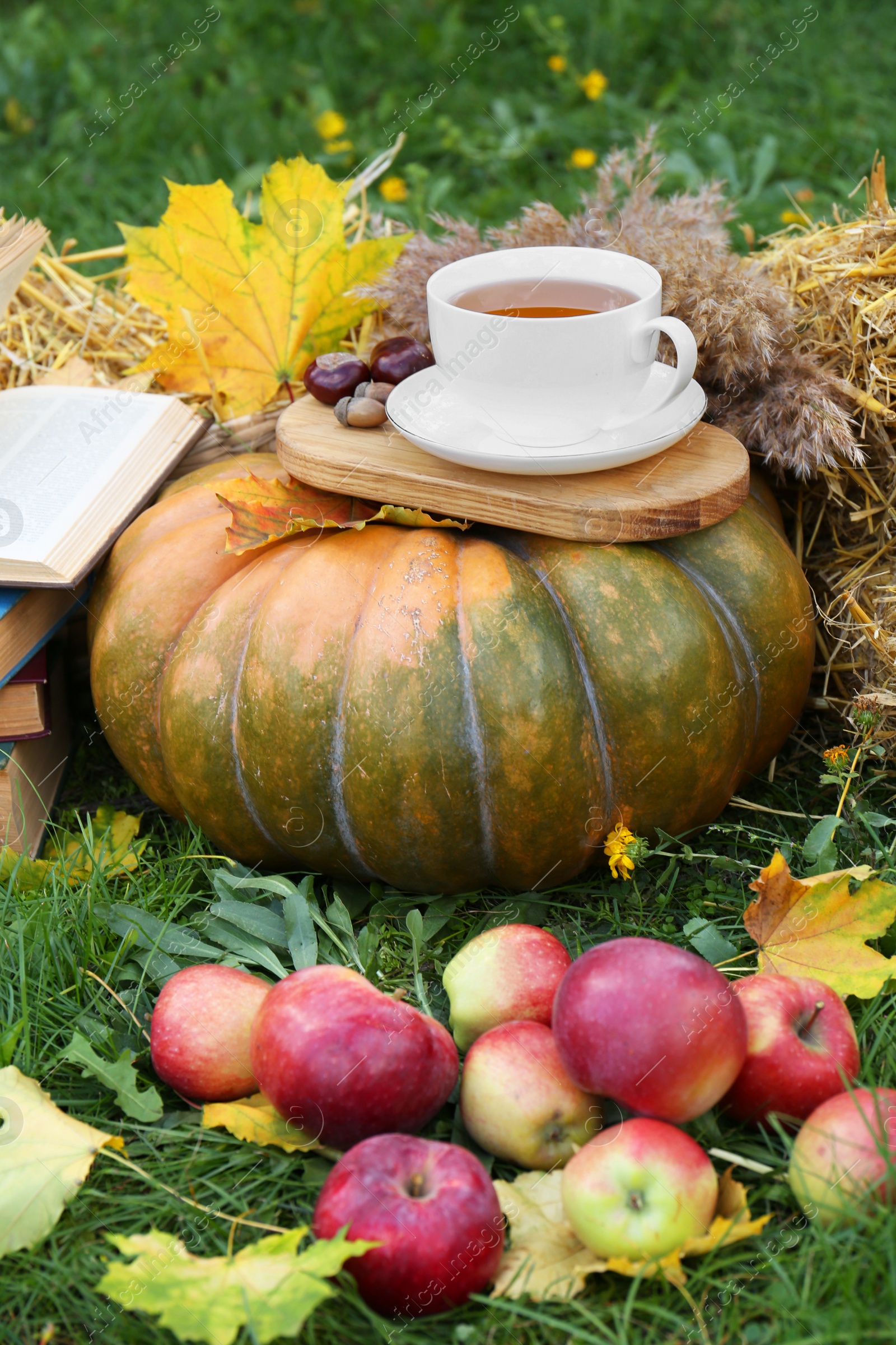 Photo of Books, pumpkin, apples and cup of tea on green grass outdoors. Autumn season