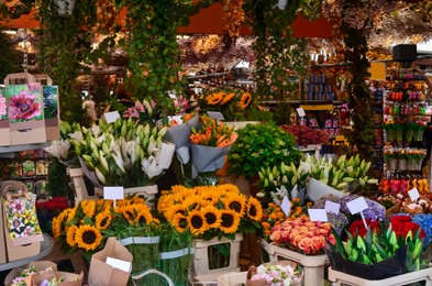 Many different colorful flowers in florist shop