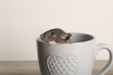 Photo of Cute small rat in ceramic cup on table against beige background, closeup