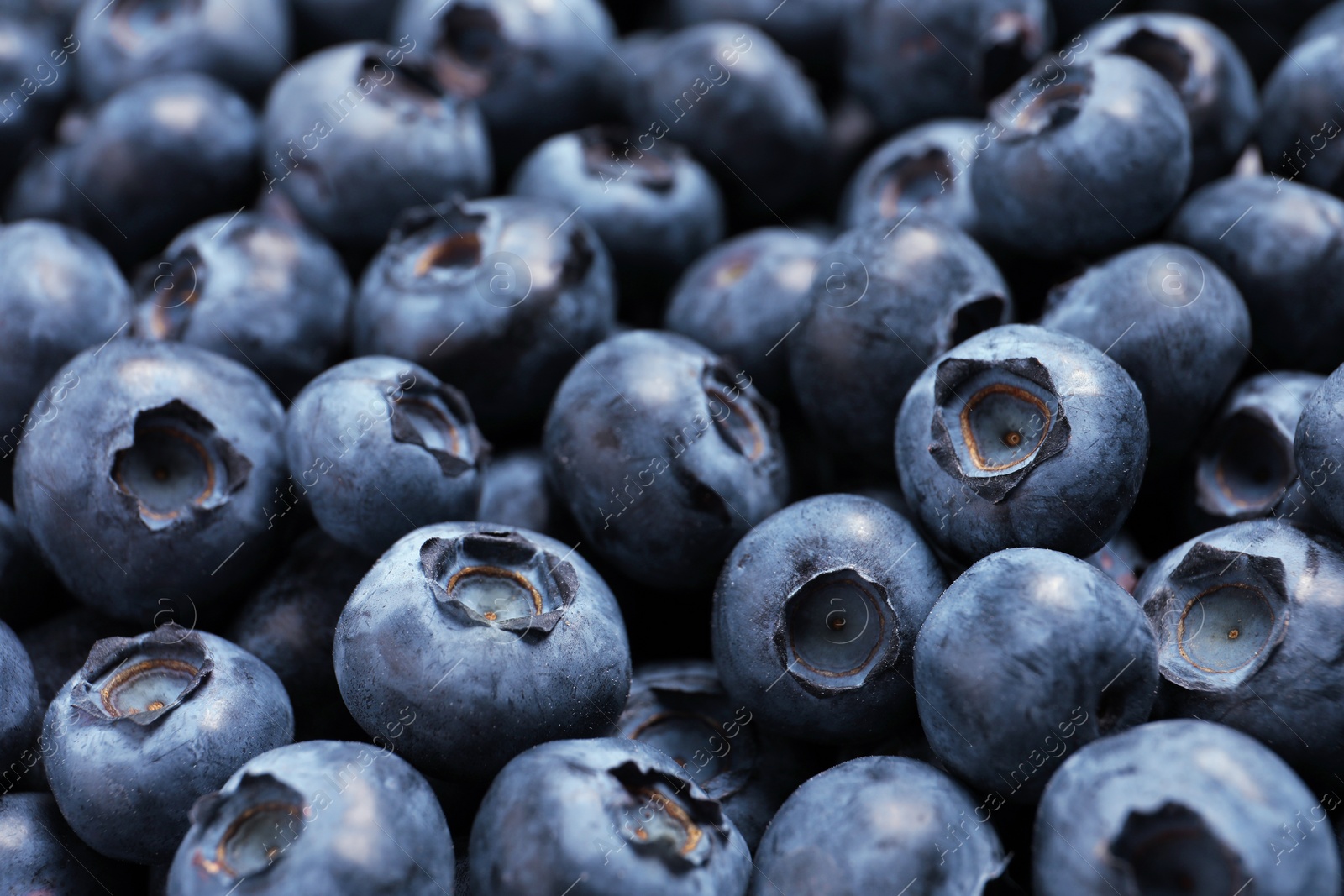 Photo of Tasty fresh blueberries as background, closeup view