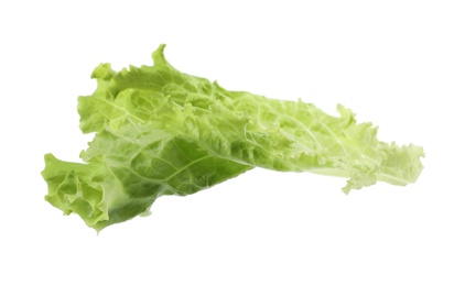 Photo of Leaf of fresh lettuce on white background. Salad greens