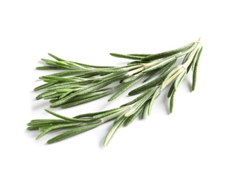 Photo of Fresh rosemary on white background