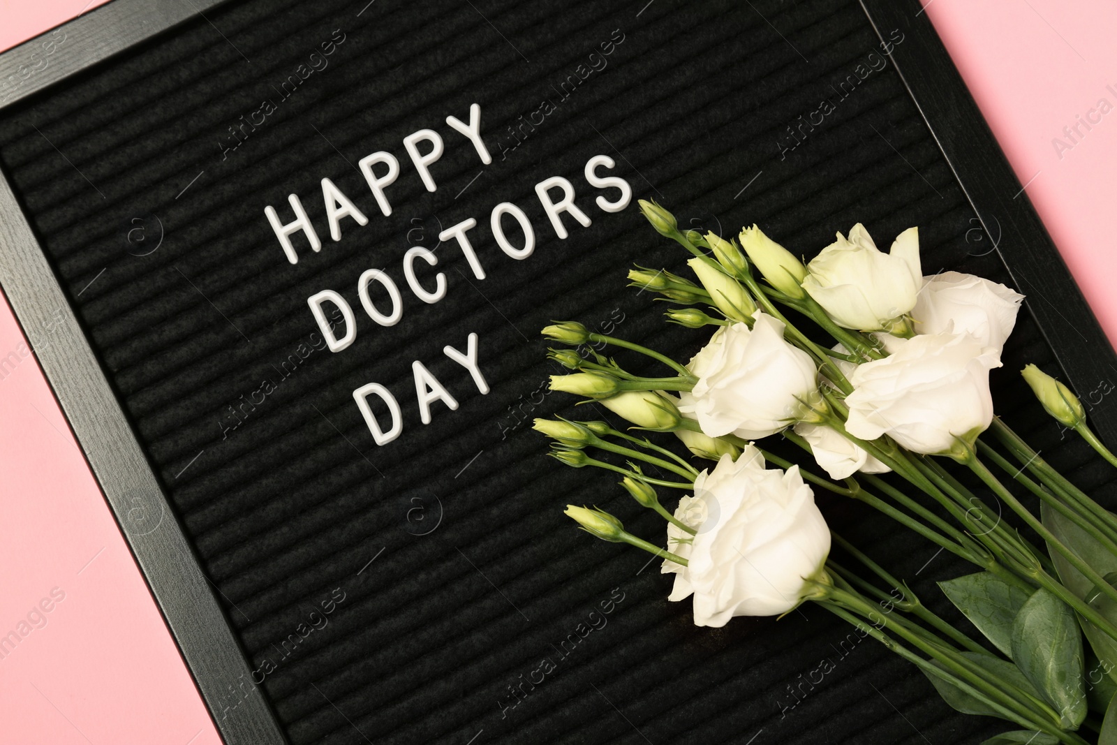 Photo of Black letter board with phrase Happy Doctor's Day and beautiful eustoma flowers on pink background, top view