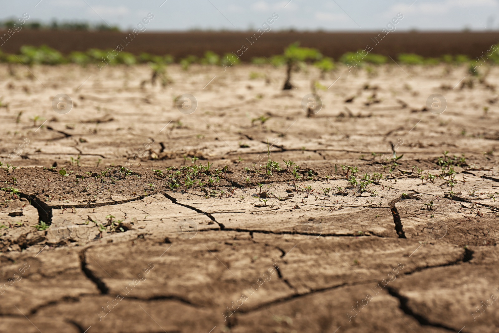 Photo of View of cracked ground surface on sunny day