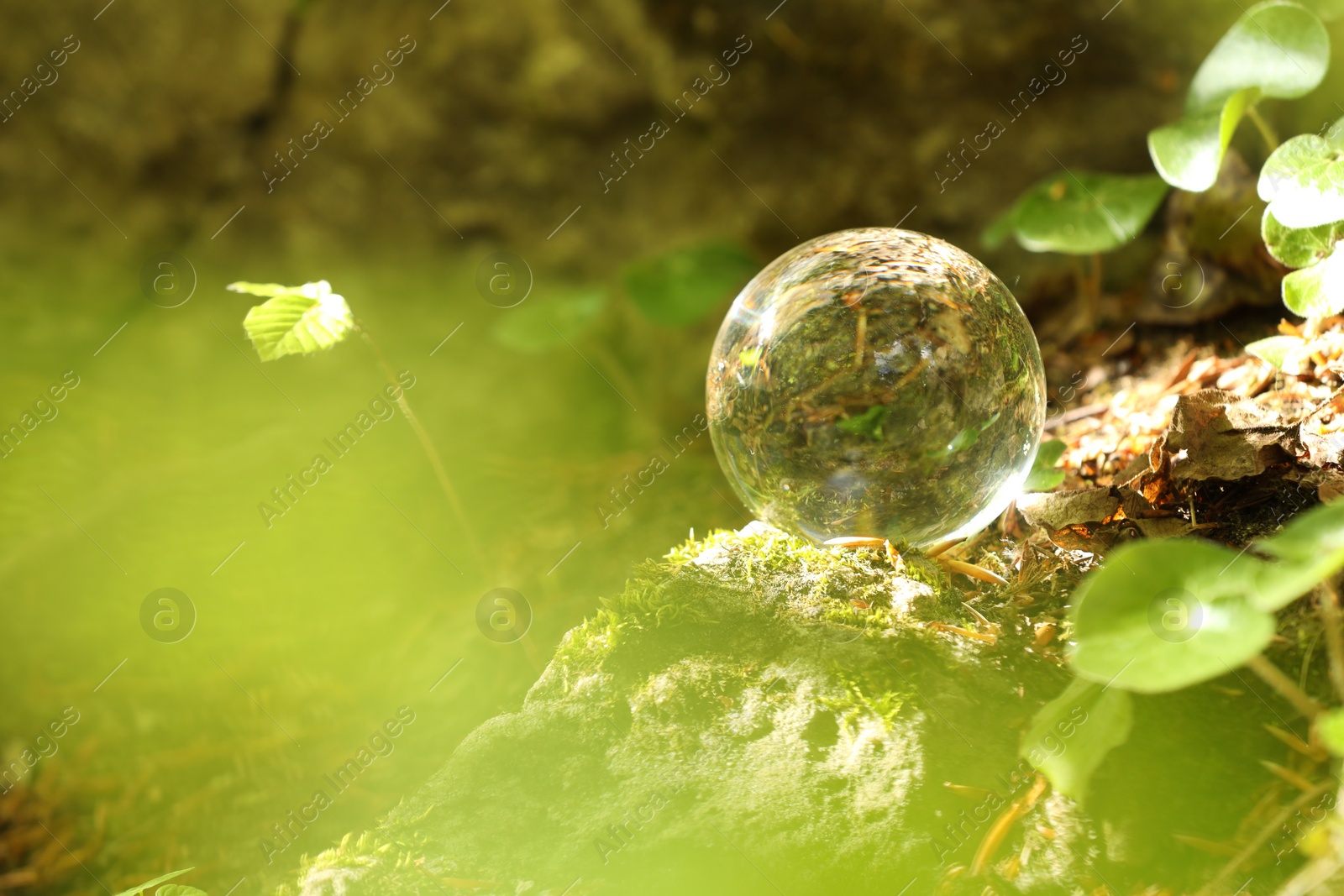 Photo of Beautiful forest, overturned reflection. Crystal ball on stone surface outdoors