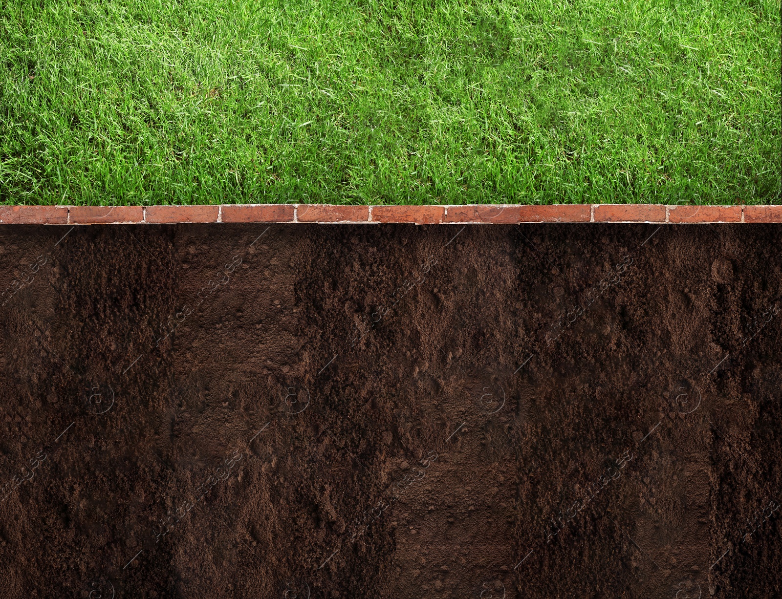 Image of Fresh green grass, bricks and ground outdoors, top view