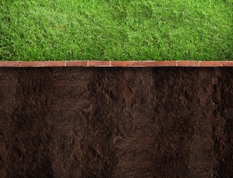 Fresh green grass, bricks and ground outdoors, top view